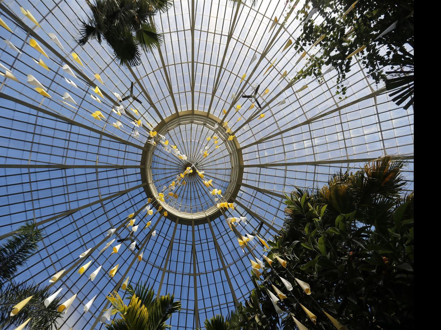 Dollar Day at Buffalo Botanical Gardens is Thursday