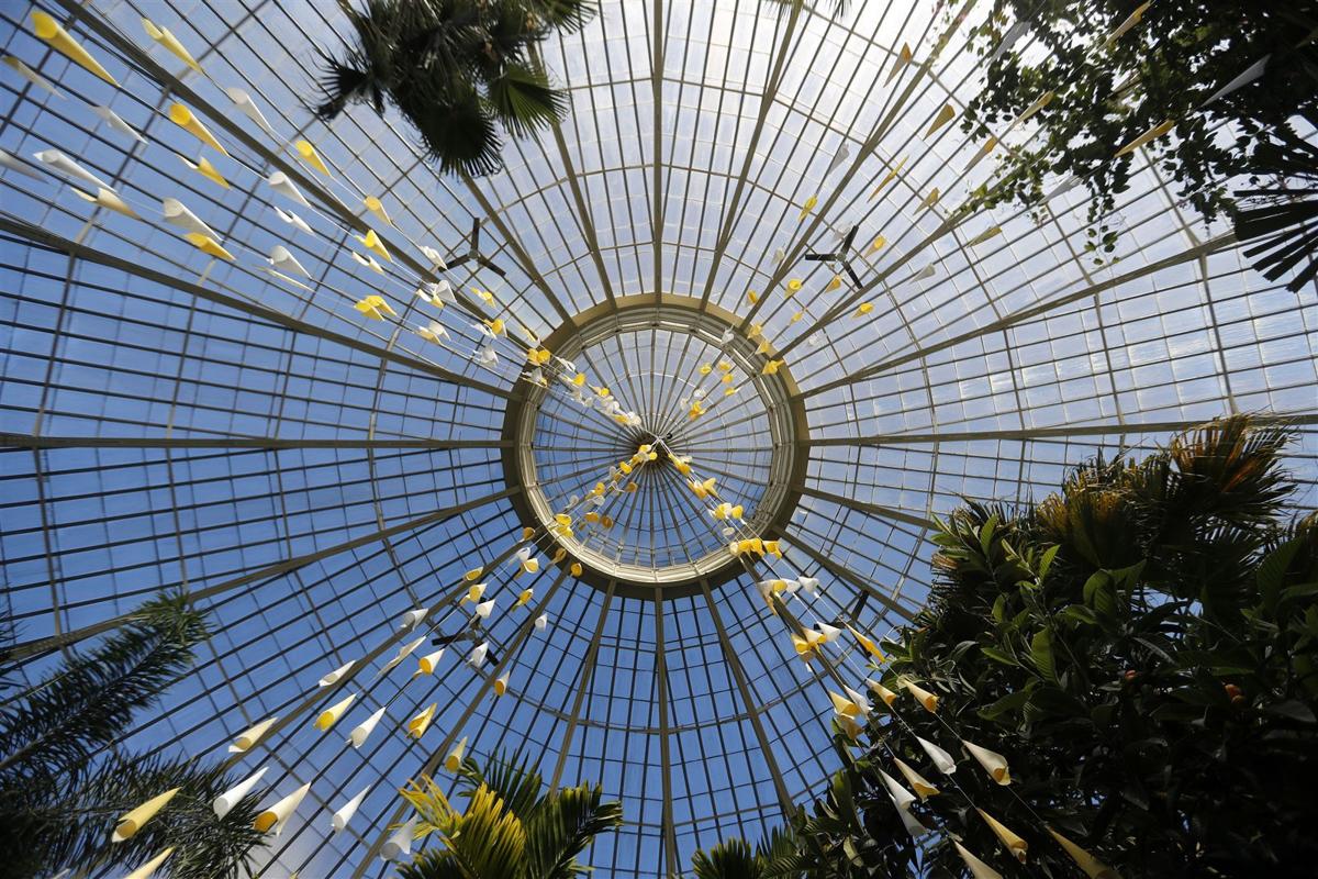 Dollar Day at Buffalo Botanical Gardens is Thursday | Local News ...