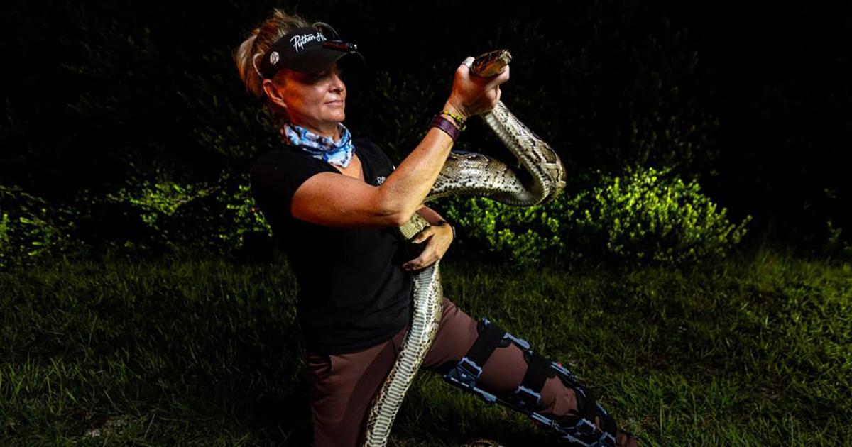 Python-hunting wildlife tours take off in Florida