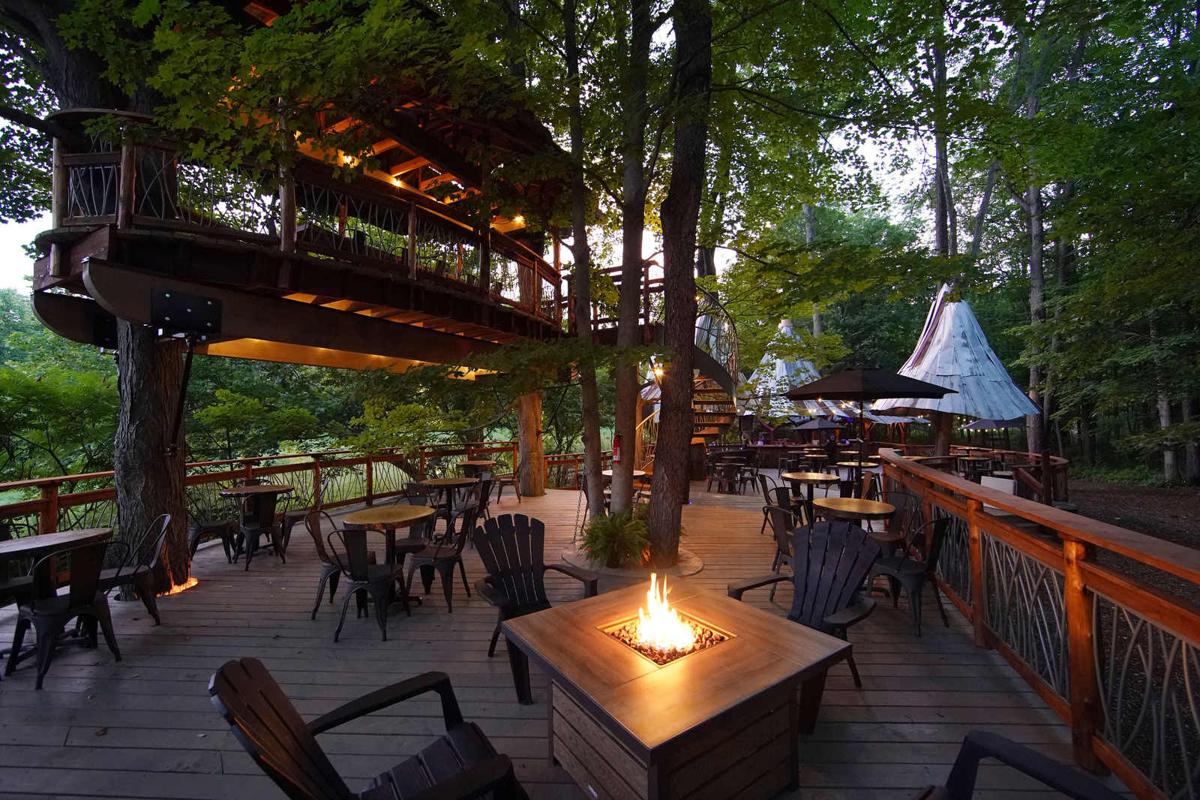 For Blueberry Treehouse Farm, the area's first treehouse cafe, the sky