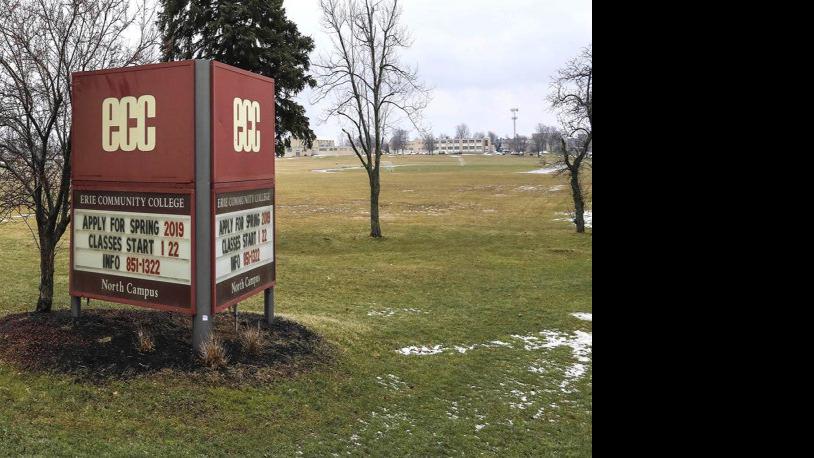 In Vast Swath Of Underused Amherst Land Ecc Officials See