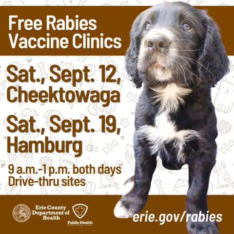 Free rabies vaccine clinics in Erie County for dogs, cats and ferrets on Sept. 12 and 19