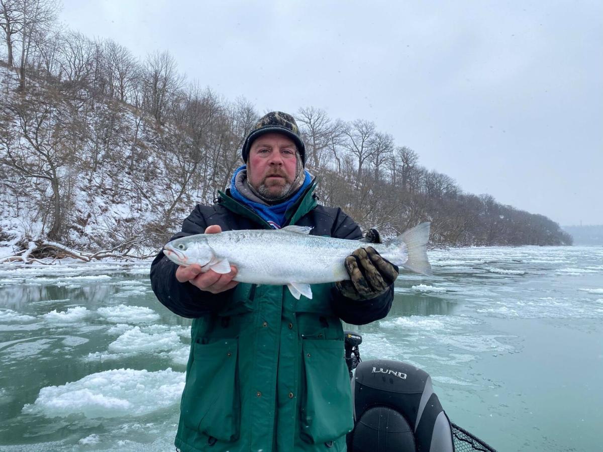 Steelhead