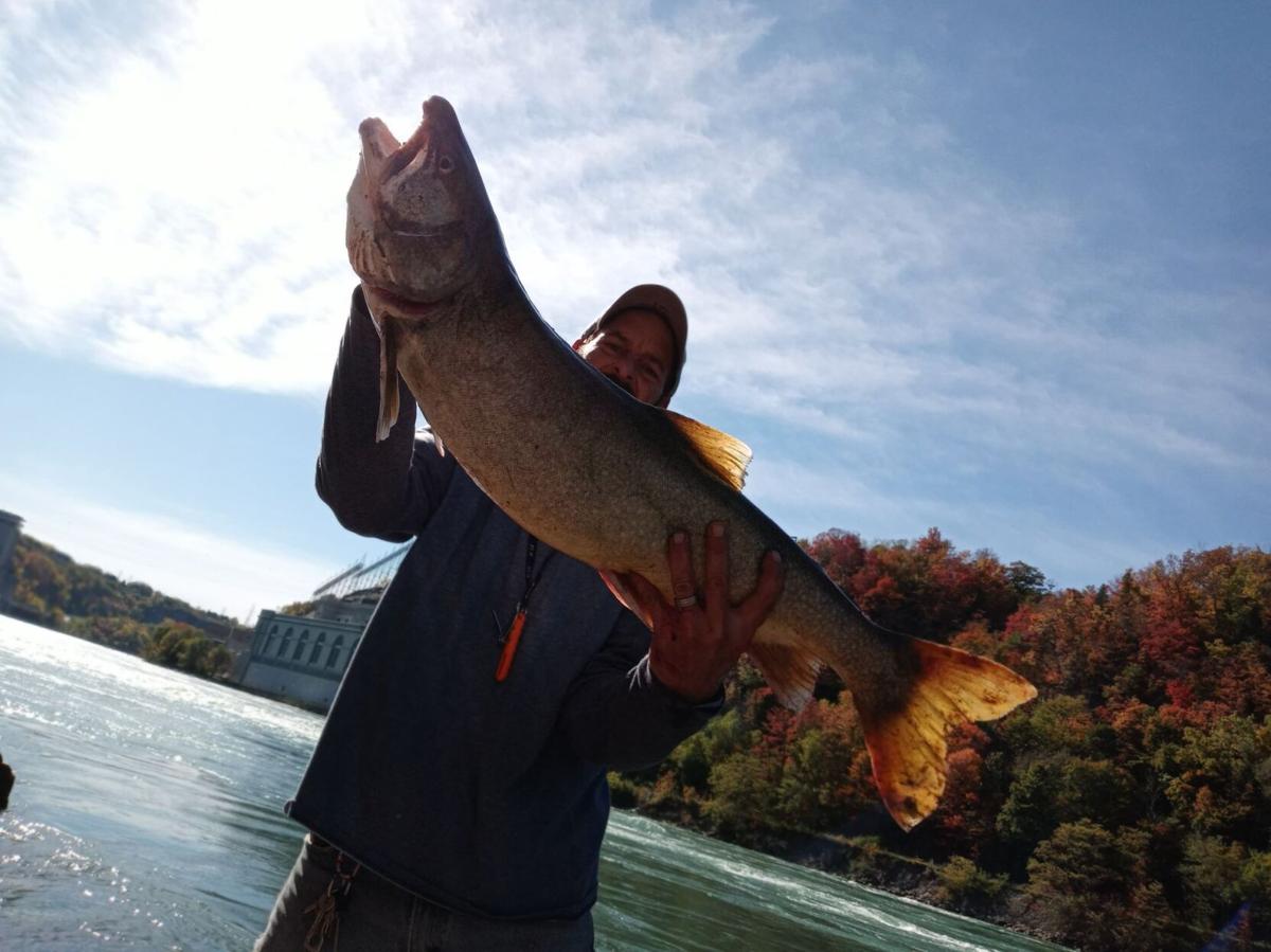 Lower river lake trout