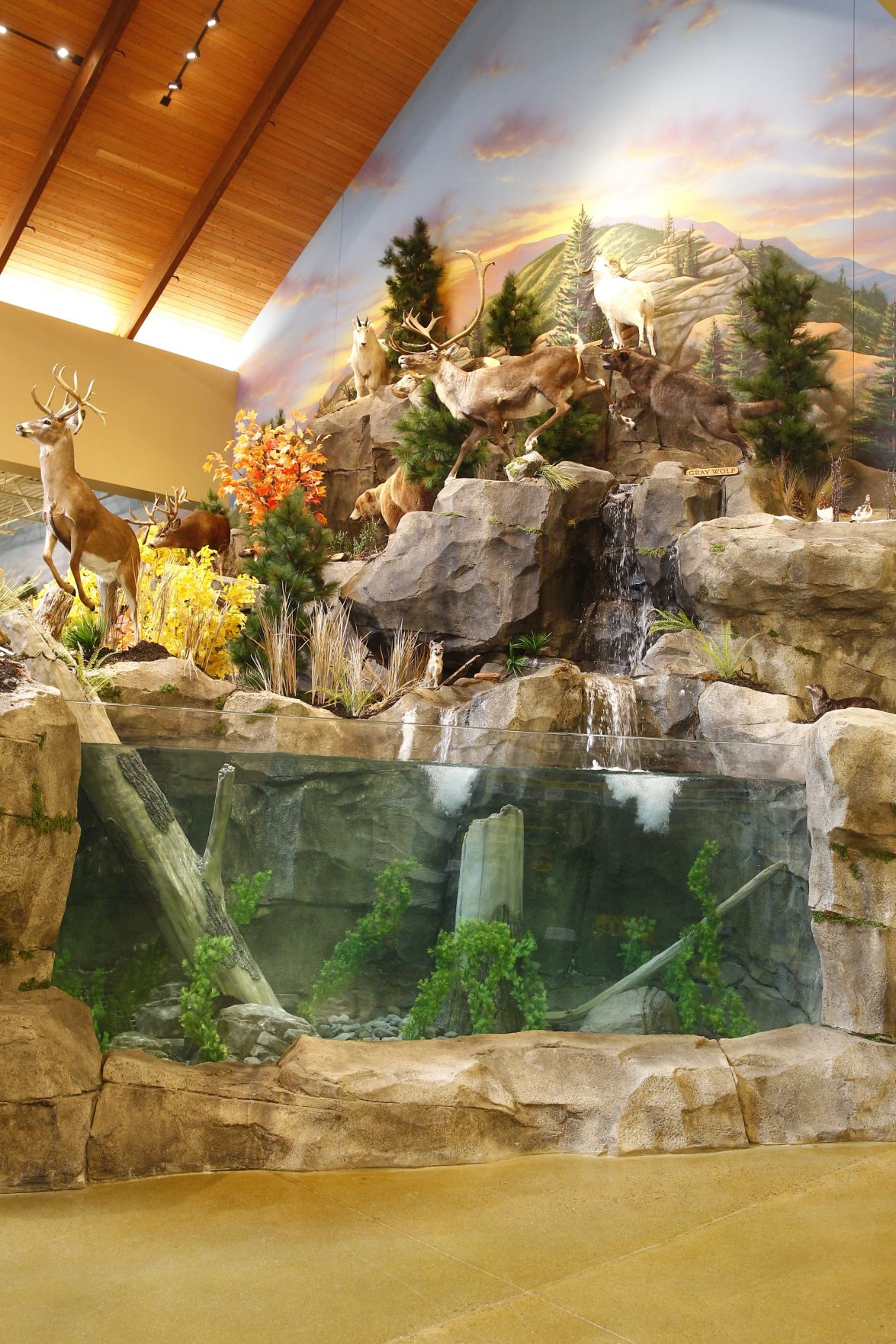 Cabela's sales fish tank