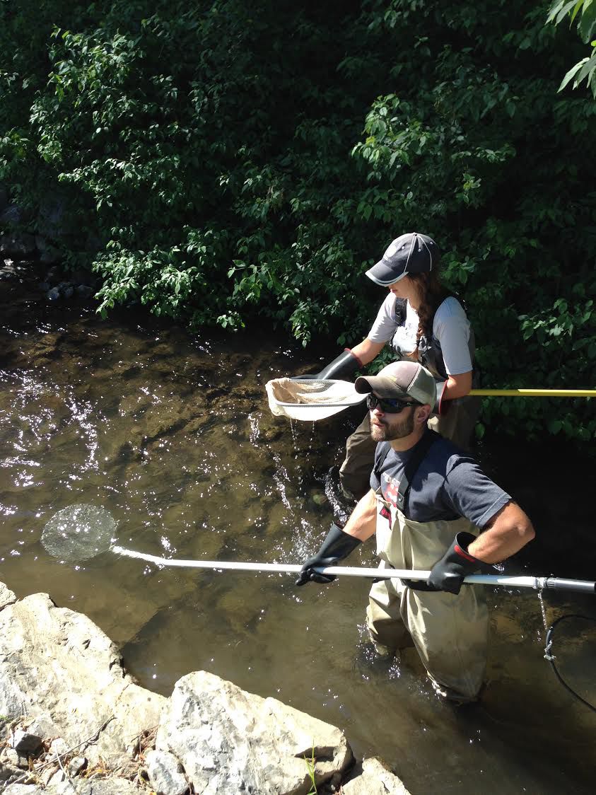 winsnape brook fishing