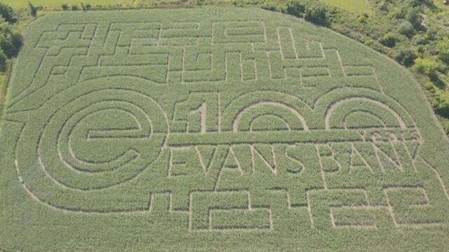 In Cambria, marketing and a corn maze meet | Local News