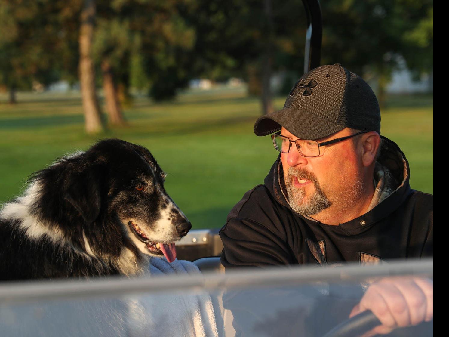 is a border collie a good guard dog