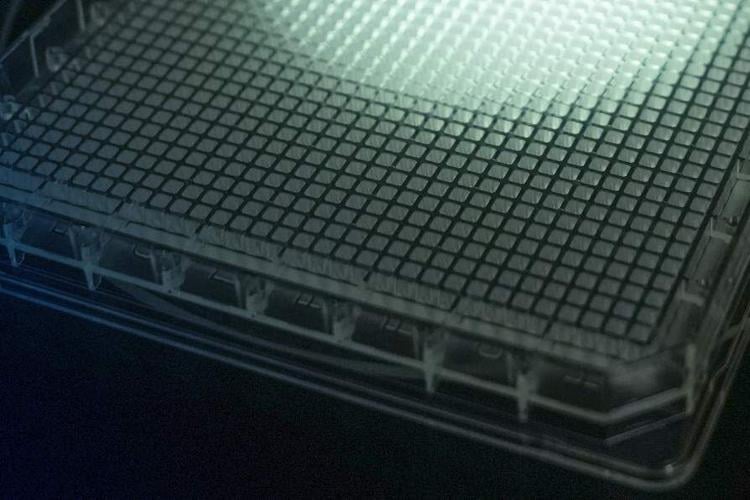 NIH awards UB-HWI’s National Crystallization Center $5.5 million to advance scientific research nationwide