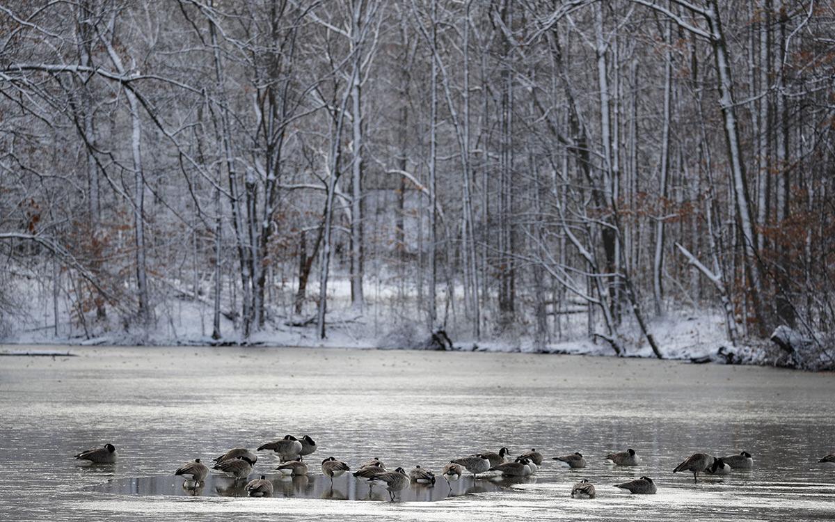 Snow Is In The Forecast But No Flip To Real Winter Just Yet
