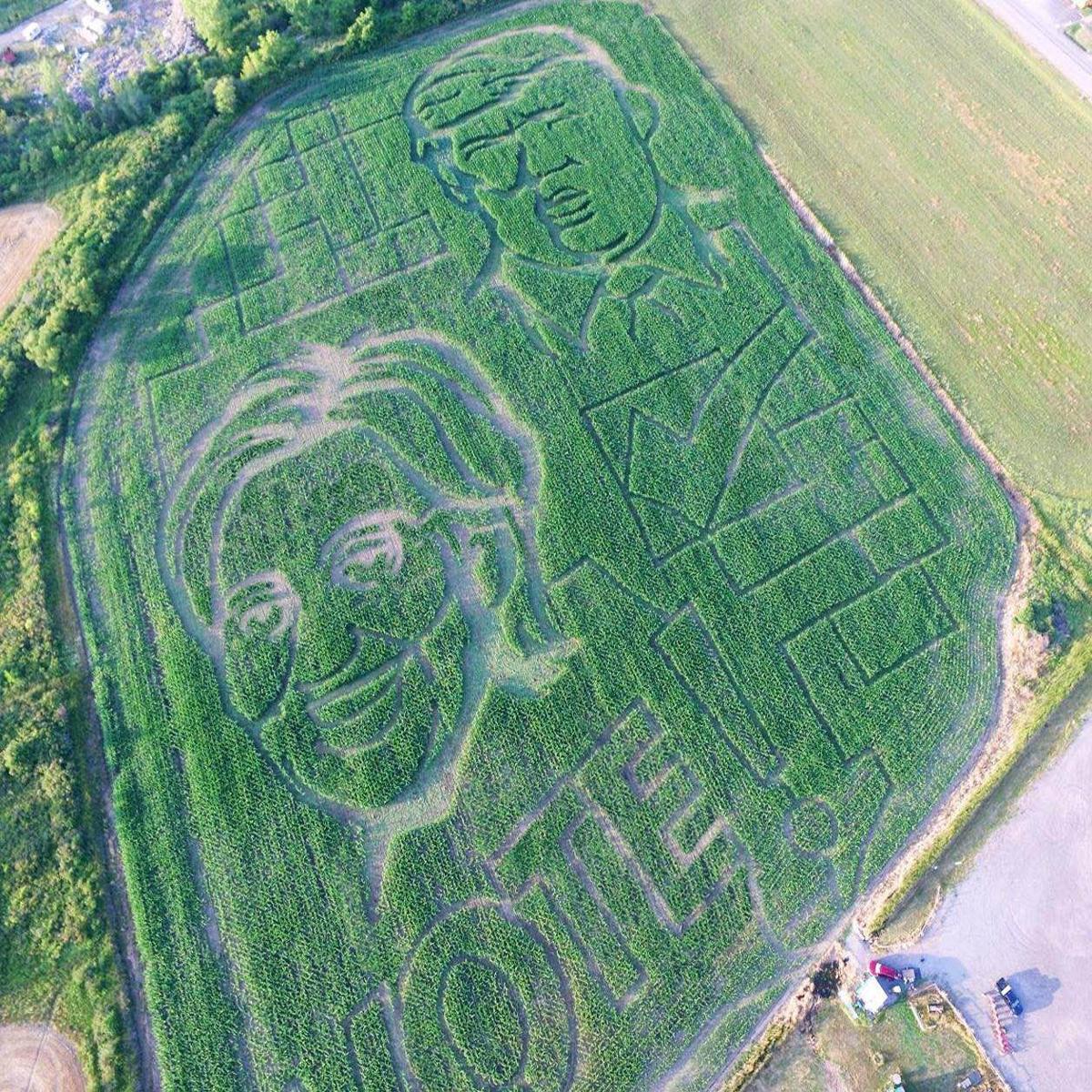 Corn Maze
