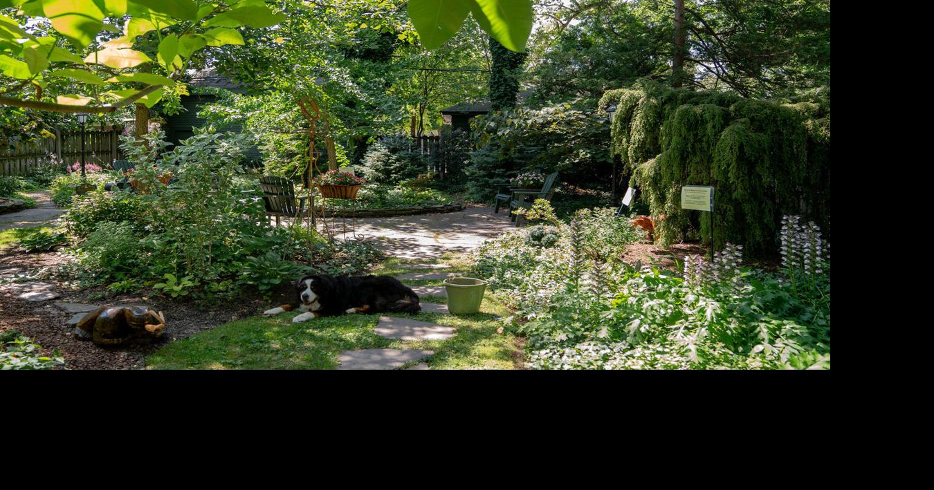 Outdoor Spaces: A parklike garden in Buffalo’s Parkside neighborhood | Home & Garden