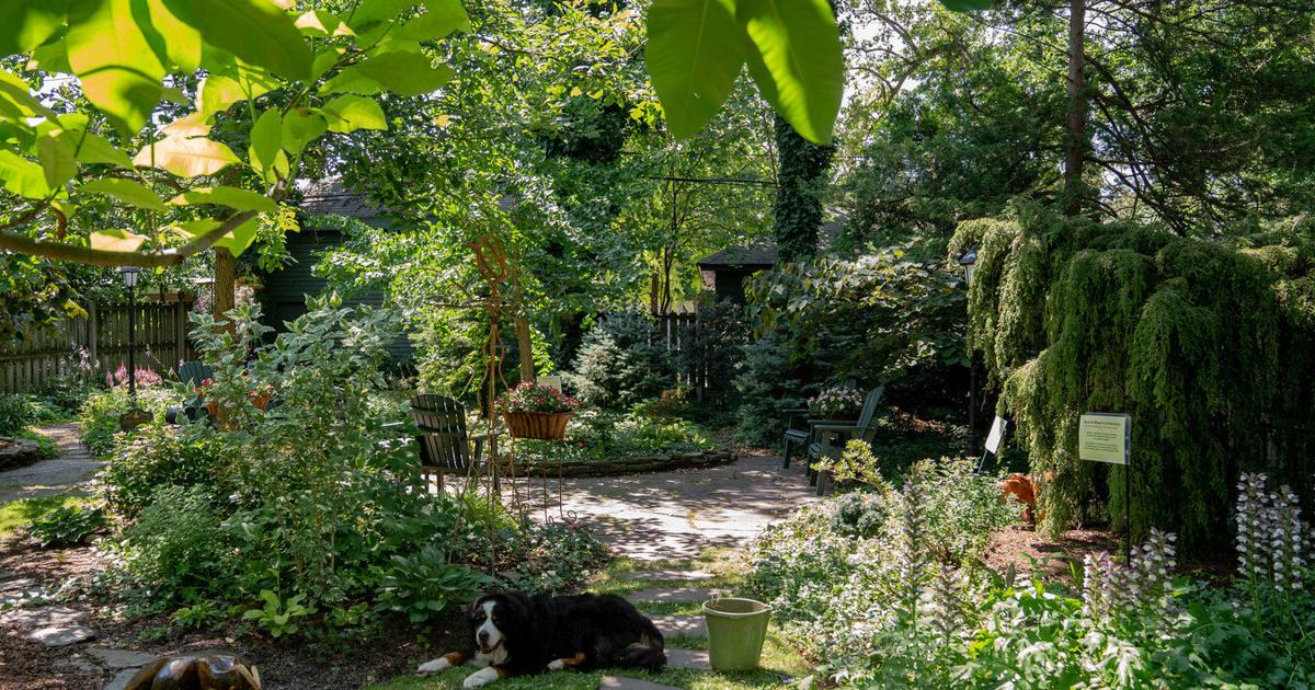 Outdoor Spaces: A parklike garden in Buffalo’s Parkside neighborhood | Home & Garden Outdoor Spaces: A parklike garden in Buffalo’s Parkside neighborhood | Home & Garden