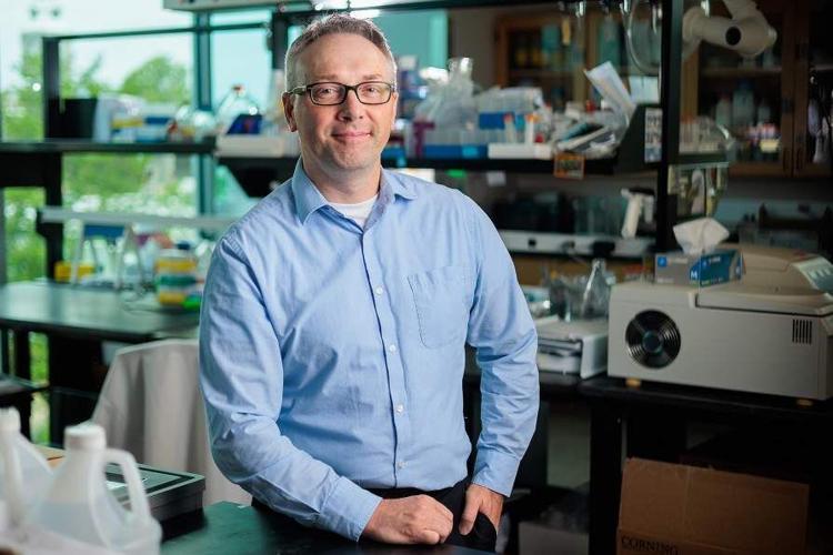 Painful neuropathy affects quality of life – sometimes long-term for cancer patients