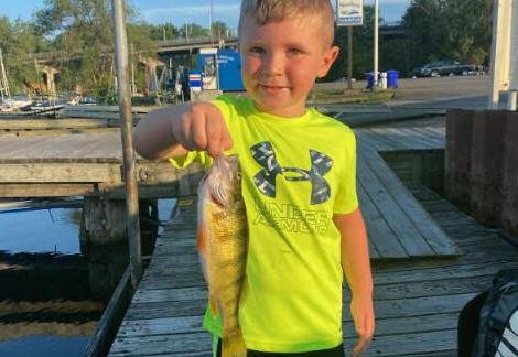 Olcott Harbor yellow perch
