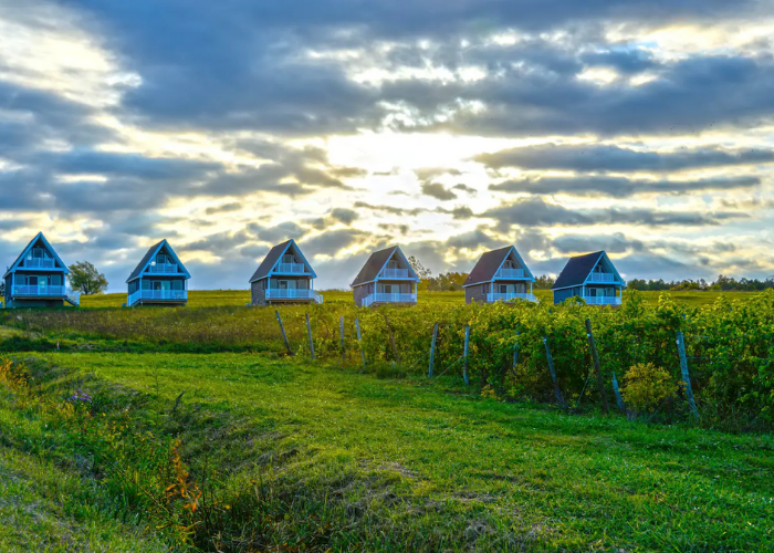 8 Tiny House Airbnb’s and Stays You Can Book Near WNY