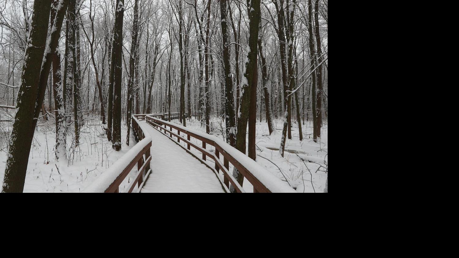 Don Paul We Might Get A White Christmas After All Columnists