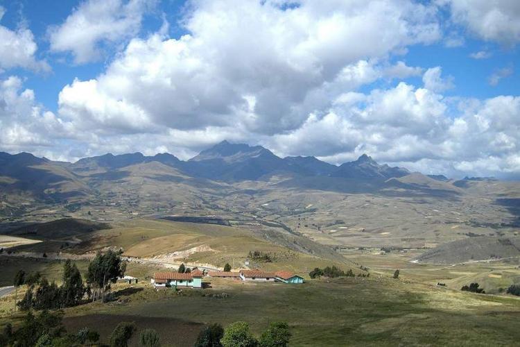 Potatoes may have shaped genetic makeup of Indigenous Andeans