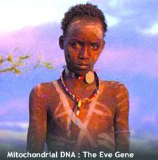 All Humans Can Trace Their Ancestry To A Black Woman From Africa ...