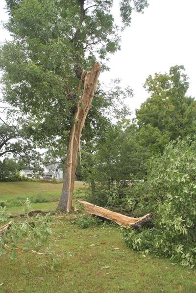 Tree Struck By Lightning And ‘explodes News 