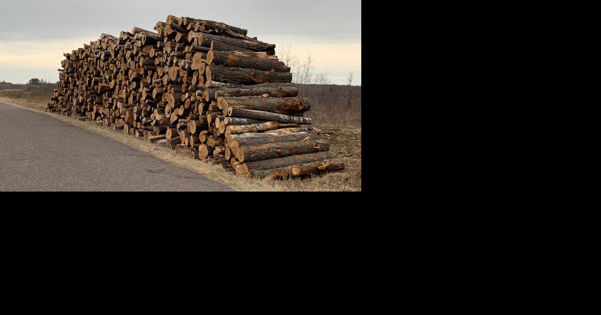 Timber bids will continue (sort of) as usual | News ...