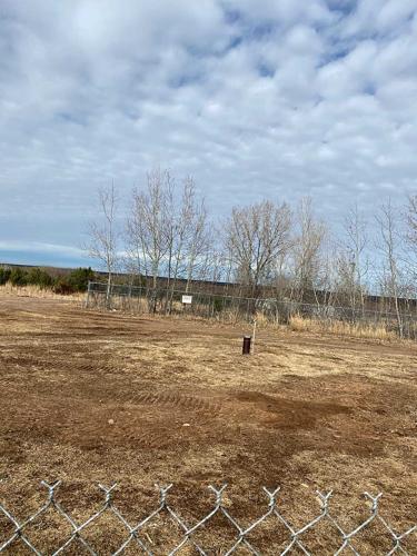 Penta Wood Products ‘Superfund’ site proposal revealed | News ...