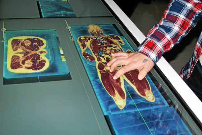 Cutting-edge virtual cadaver in use in Henry Ford College biology ...