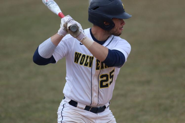 Cool Michigan Senior Pictures with a baseball player!