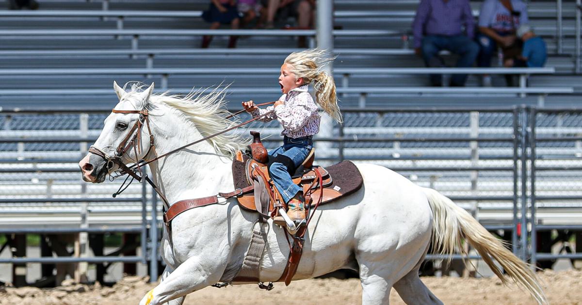 Lowood Rodeo 2025 GALLERY: Logan Pioneer Day Jr. Rodeo 2025 | Multimedia ...