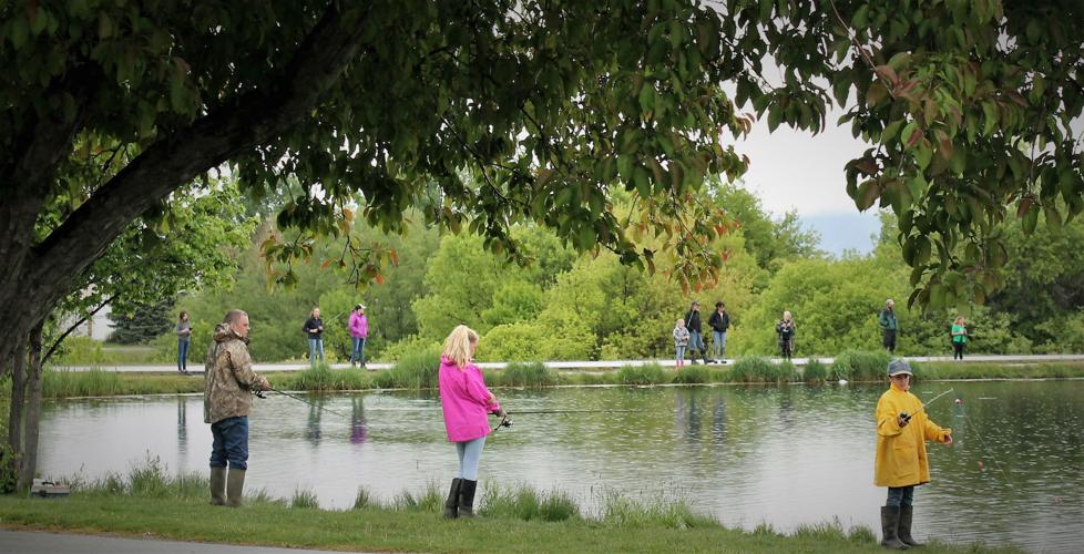 Fifth graders release trout in Wellsville Pond Local News