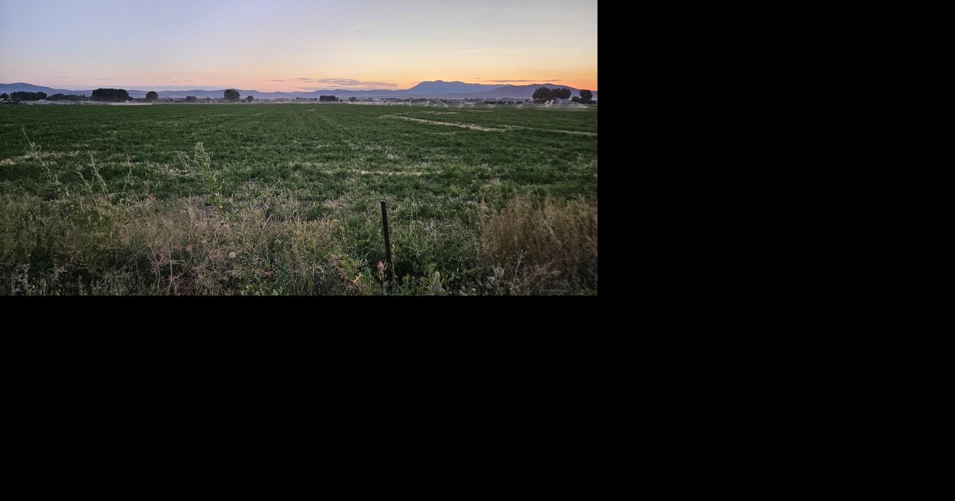 Fire restrictions begin for northern Utah