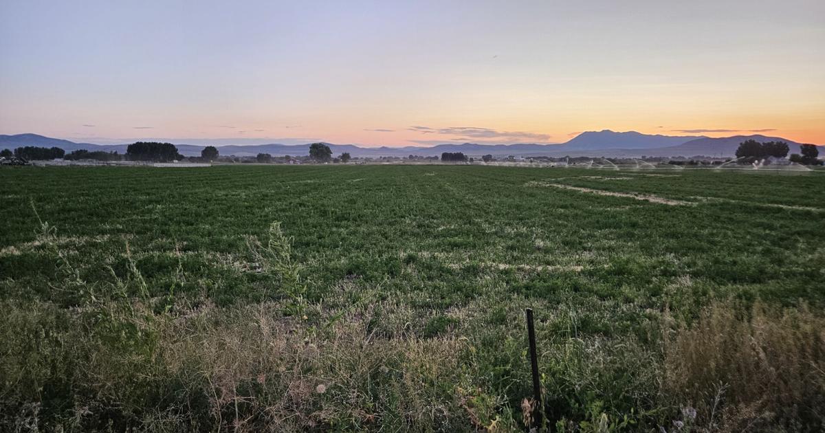 Fire restrictions begin for northern Utah