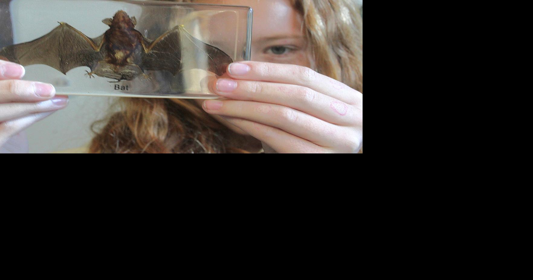 Discovering nocturnal wildlife at the Hardware Wildlife Education Center through October
