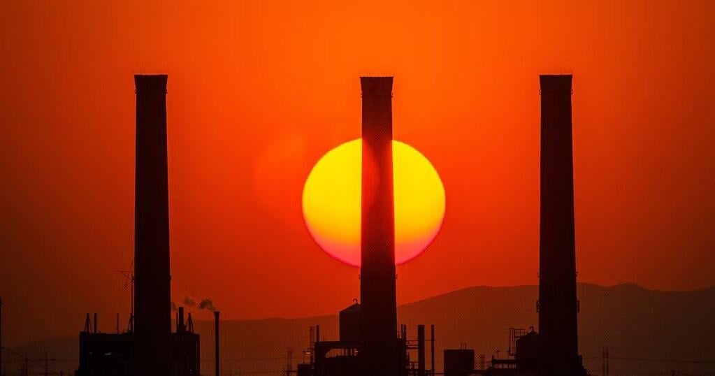 Gadsby Plant
