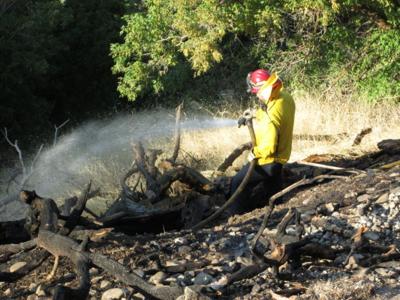 Grass Fire believed to be caused by fireworks | Local News ...