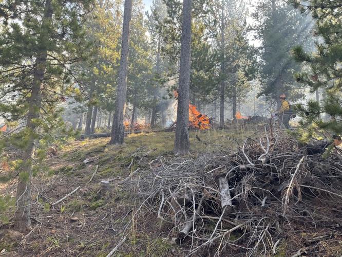 Forest crews burn slash piles west of Randolph Local News