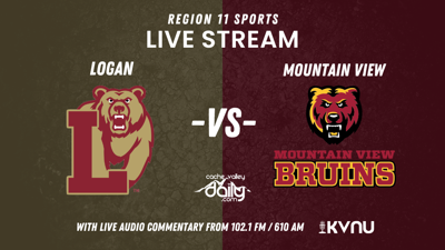 High School Sports Tiles - Logan Grizzlies