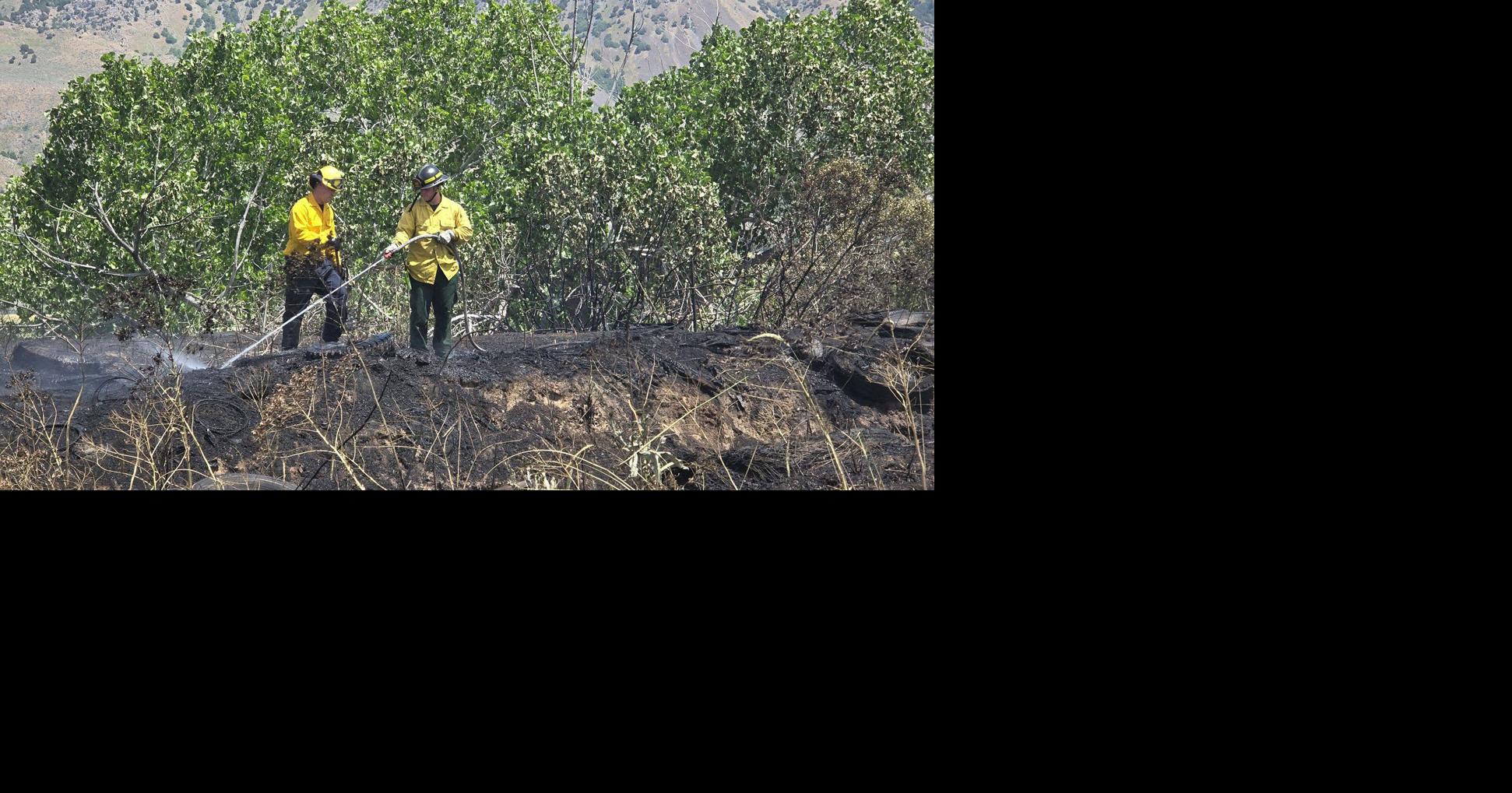 Beekeeper smoke sparks fast-moving grass fire near Tremonton