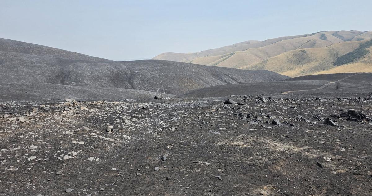 Johnson Canyon Fire holds at 6,889 acres as response effort gains strong community support