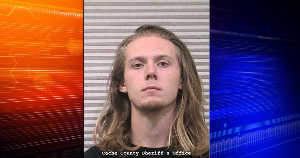 Logan man sentenced to jail for dealing LSD | Local News ...