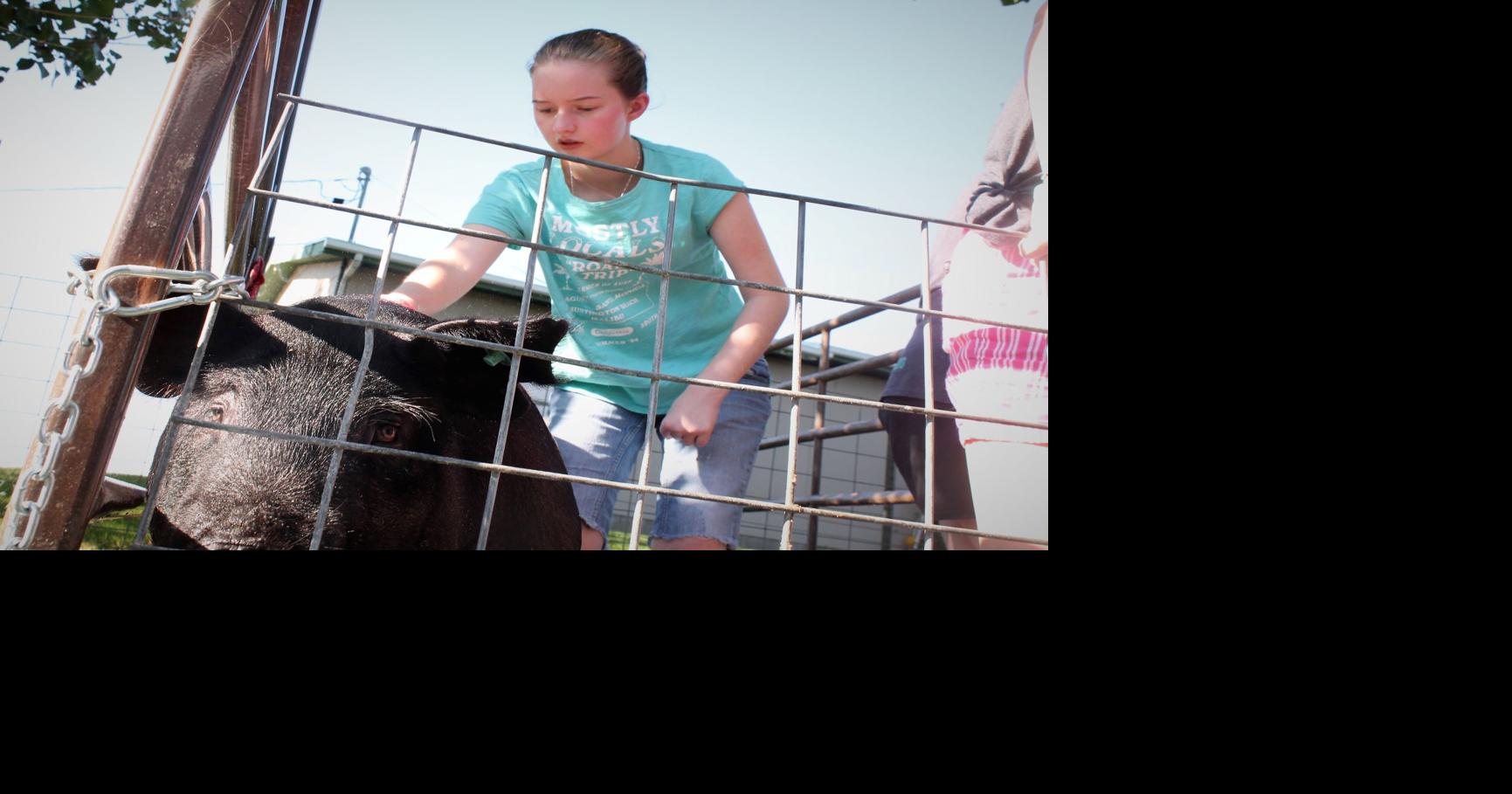 Cache County Rodeo is attracting some of the best cowboys in the ...