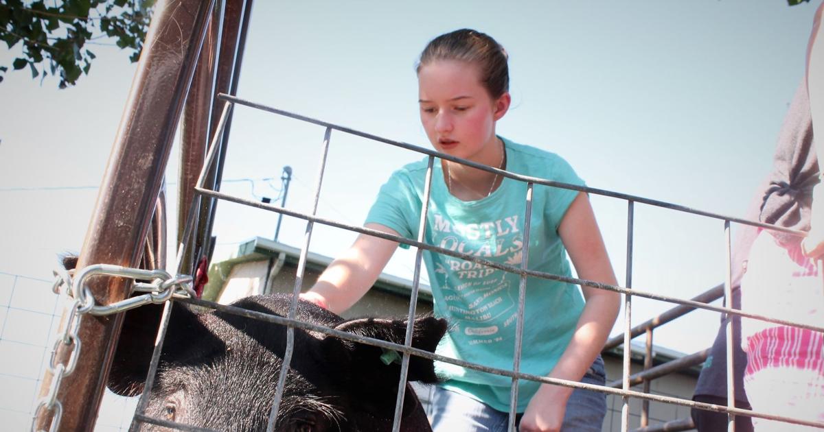 Cache Rodeo Jpg Image Cache County Rodeo is attracting some of the best cowboys in the ...