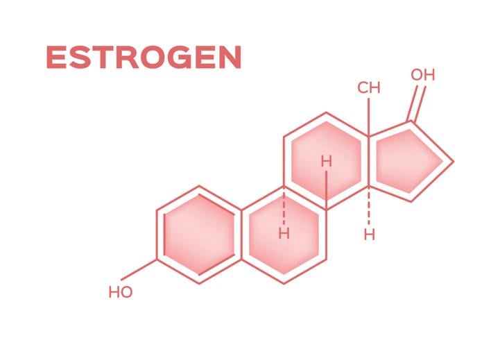 Strategies for clearing excess and toxic estrogen to stabilize health |  Health & Wellness | cachevalleydaily.com