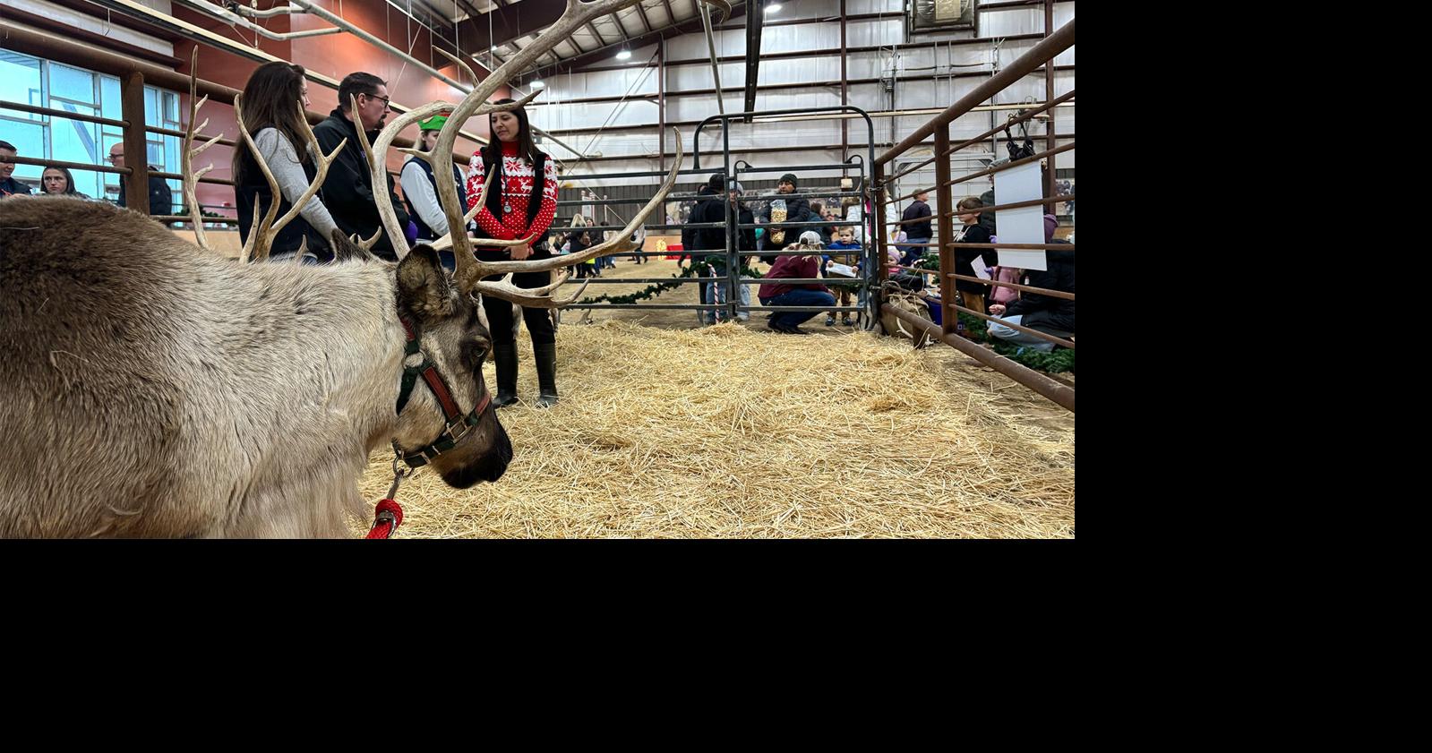 USU’s Reindeer Express gives Santa’s team a clean bill of health ahead of Christmas Eve