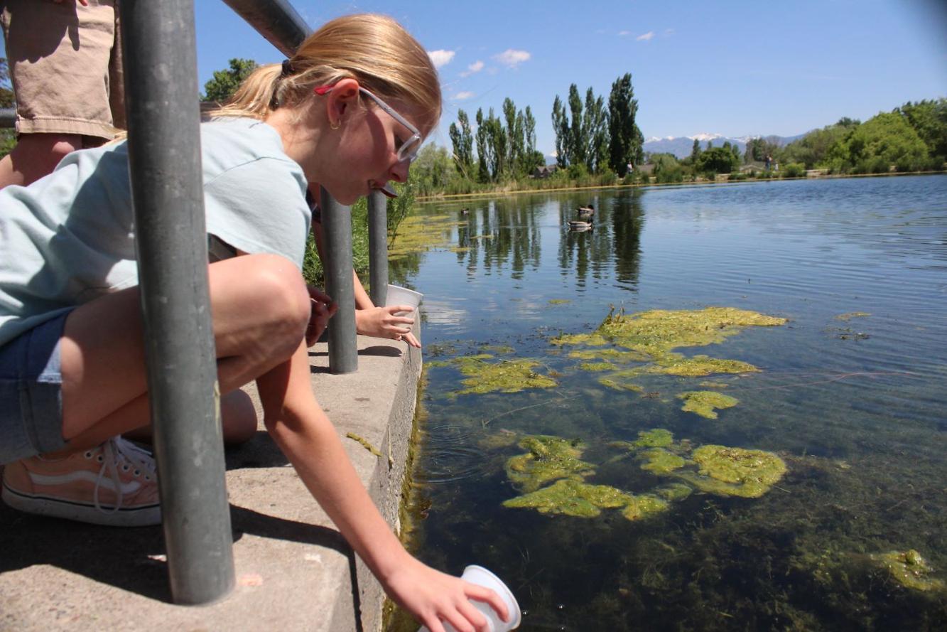 Elementary school releases trout into Wellsville Reservoir News