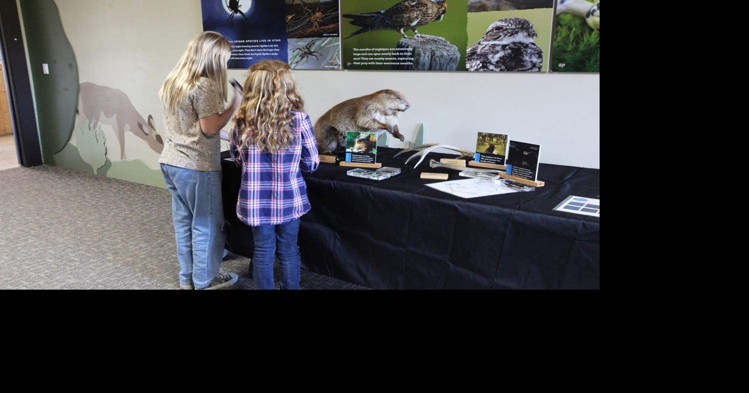 Hardware Ranch Education Center brings nocturnal creatures to life in ...