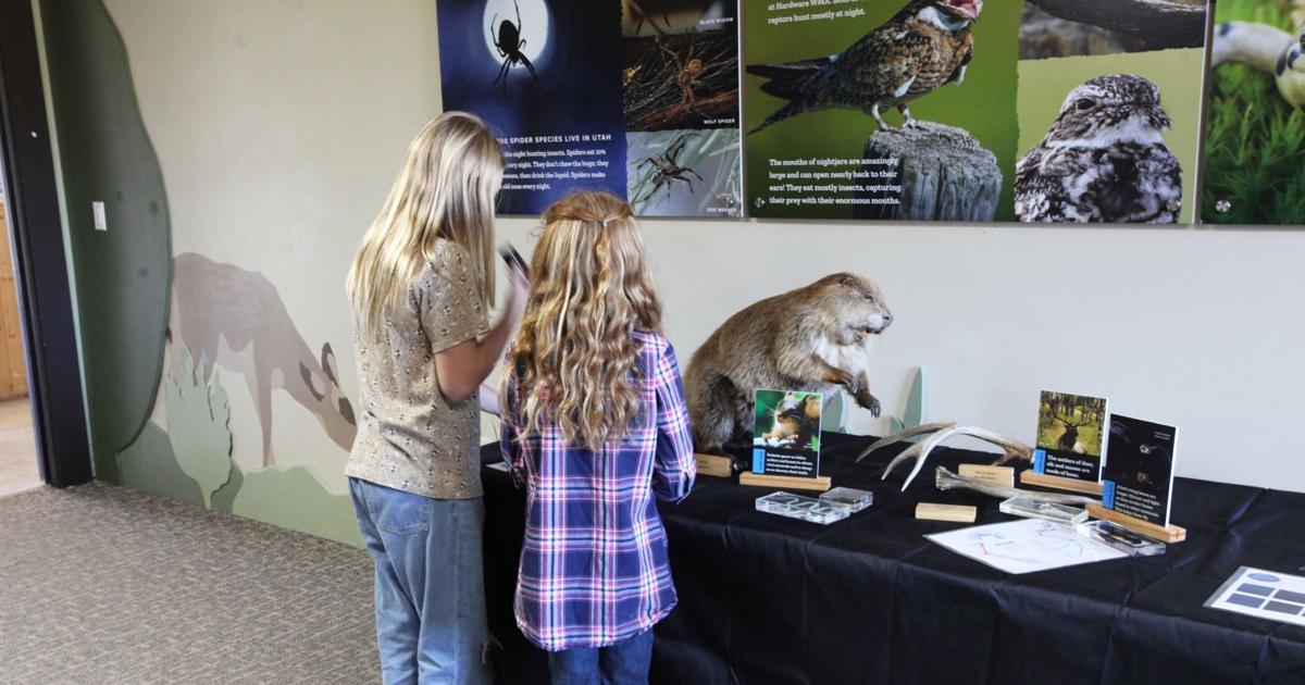 Hardware Ranch Hardware Ranch Education Center brings nocturnal creatures to life in ...
