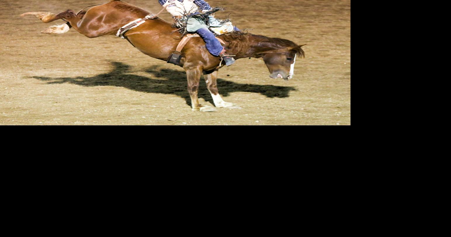 First night of Cache County Rodeo a success | Local News ...