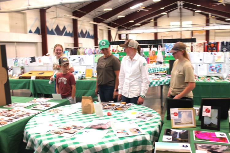 Cache Valley Fair and Rodeo off to a good start | News ...
