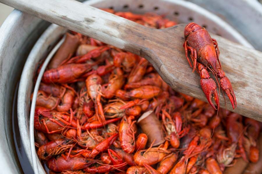 Catch and Cook CRAWFISH! Ep16  How to Cook and Eat CRAWDADS Survival  Challenge! 